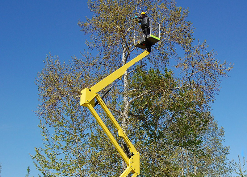 piattaforma di lavoro aereo mirandola